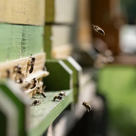 Theresienhof Konukevi 3*