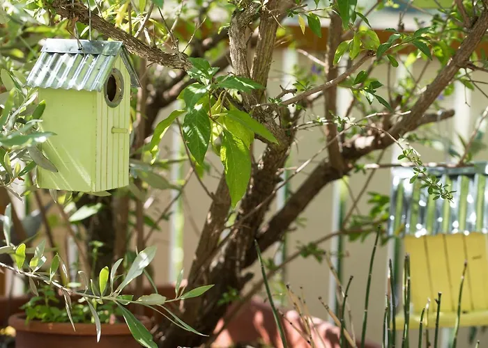 بيت ضيافة Theresienhof Petschnitzen