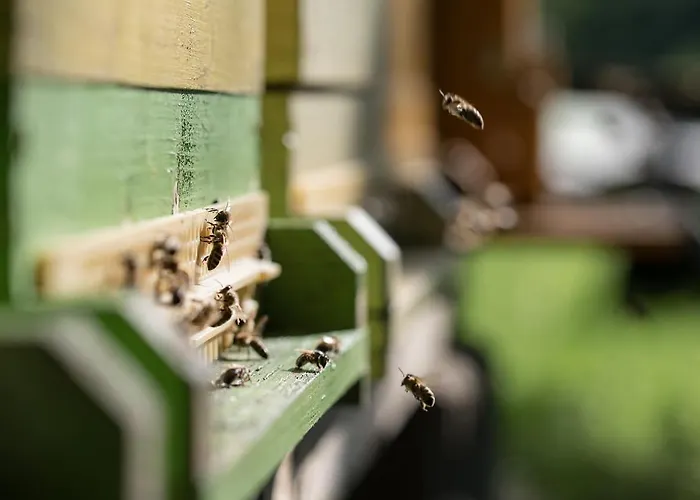 Theresienhof بيت ضيافة 3*