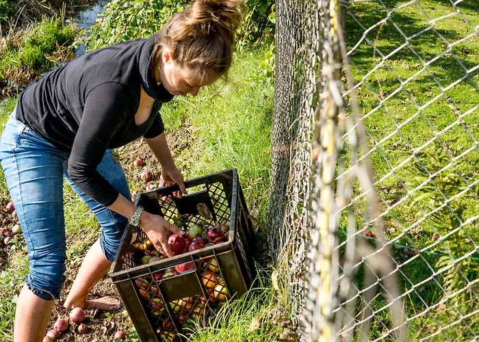 Theresienhof Petschnitzen